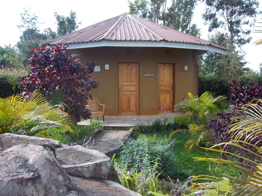 Kilimanjaro Eco Lodge Usa River 객실 사진