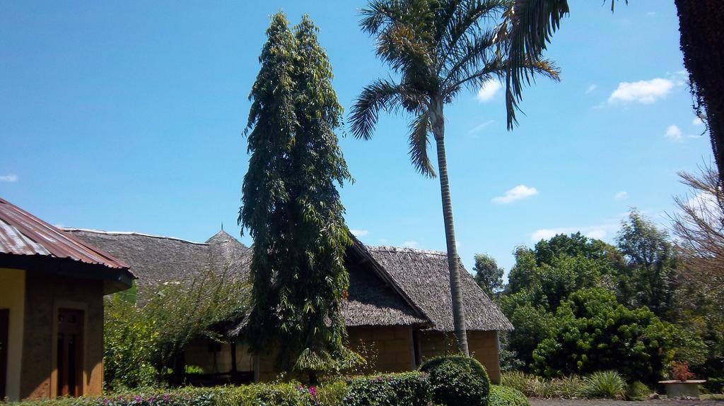 Kilimanjaro Eco Lodge Usa River 외부 사진