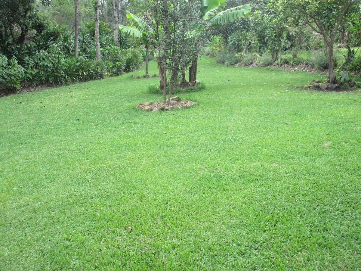 Kilimanjaro Eco Lodge Usa River 외부 사진